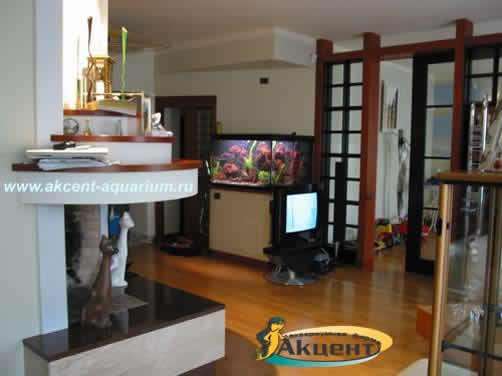 Акцент-Аквариум, аквариум просмотровый 400 литров в гостинной